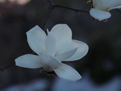 -威海大乳山景区