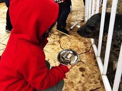 -芜湖新华联大白鲸海洋公园