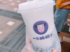 -一只酸奶牛(八一路店)