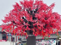 -泰山风景名胜区