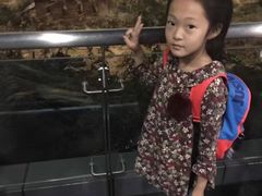 -中国人民抗日战争纪念馆