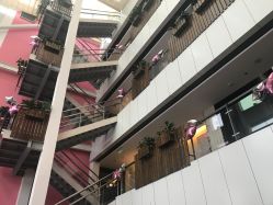 -知爱母婴专护全套房月子会所(新华路店)