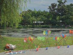 -两河城市森林公园