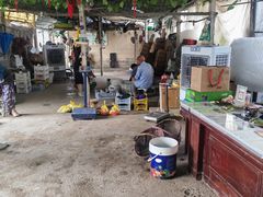 -马陆小张葡萄园农家乐