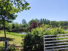 -石家庄市植物园