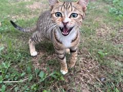 -广州科技贸易职业学院