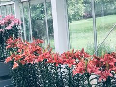 -上海鲜花港