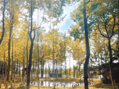 -艾溪湖湿地公园