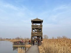 -盐城丹顶鹤湿地生态旅游区