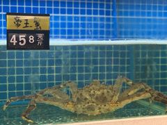 -金龙·打边炉(南京西路店)