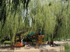 -团结湖公园