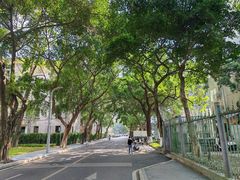 -四川大学(望江校区)