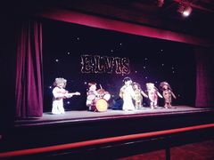 -济州岛泰迪熊博物馆