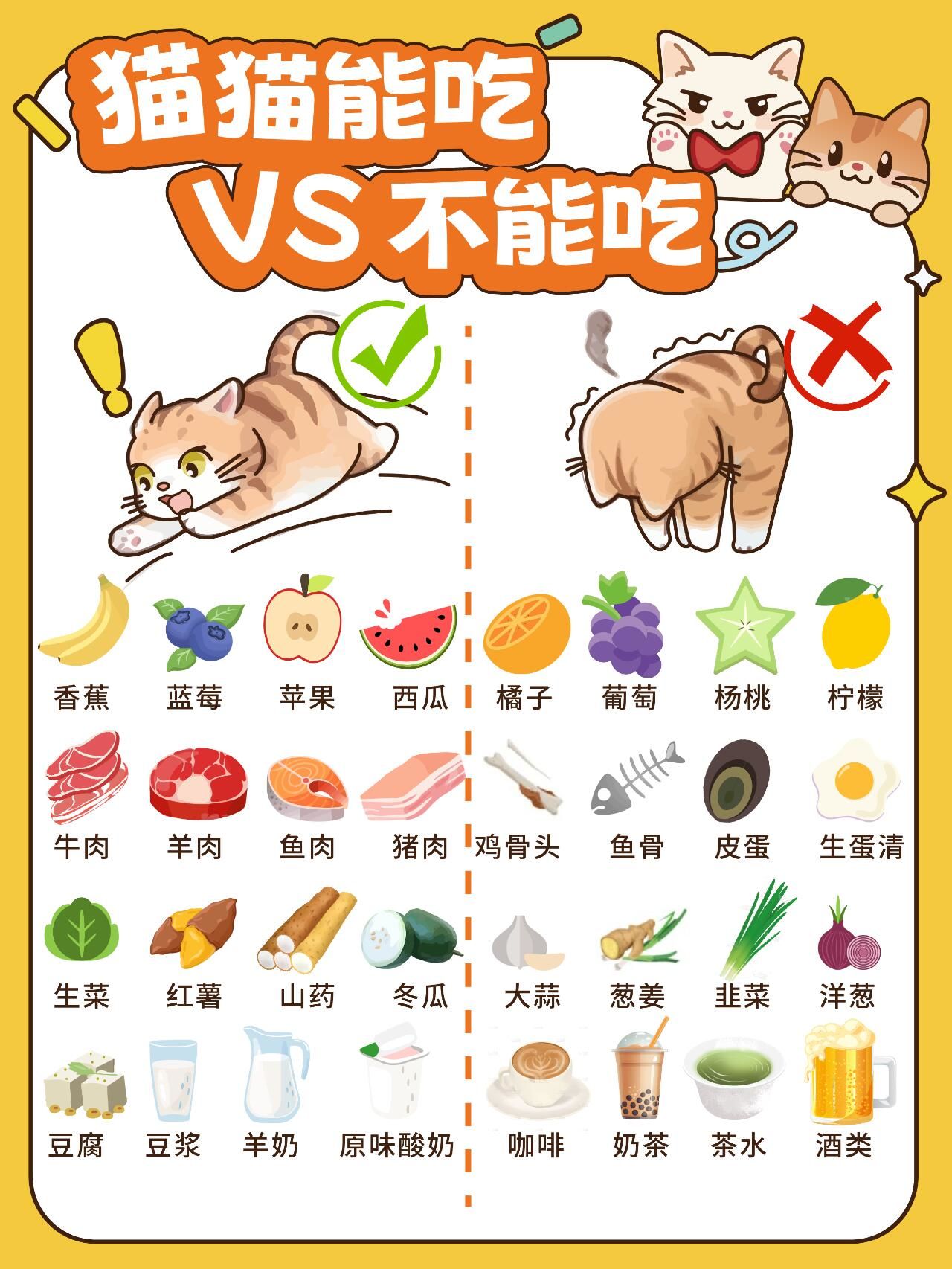 为什么不能吃猫