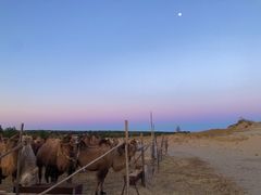 -库伦旗银沙湾旅游景区