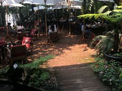 -Fern Forest Cafe