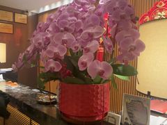 -手佳·水疗汇(杏林宁宝店)