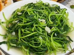 清炒野菜-苗家特色土烙锅·老字号