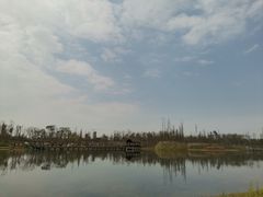 -白鹭湾湿地公园