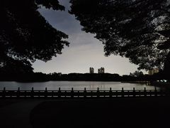 -番禺大夫山森林公园