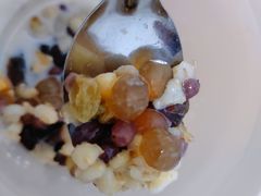 嫩仙草满福-古茗(衢职校外店)