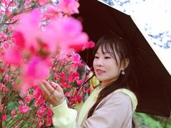 -木兰云雾山