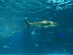 -福州罗源湾海洋世界旅游区