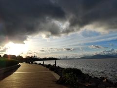 -深圳湾公园(南山区)