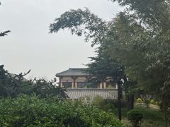 -洛阳古墓博物馆