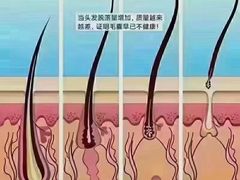 -广州绿地中央广场