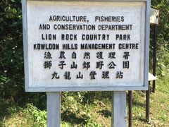 -狮子山郊野公园