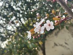 -盘门景区