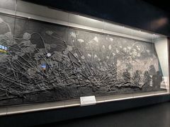 -柳州白莲洞洞穴科学博物馆