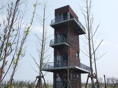 -春花秋色城市公园