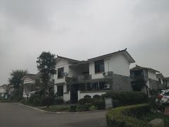 -桤木河湿地公园