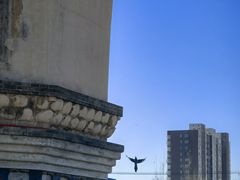 -修德寺塔