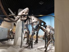 -国家自然博物馆