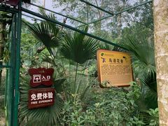 -呀诺达热带雨林
