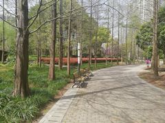 -苏州河梦清园环保主题公园