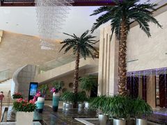 -常州环球恐龙城维景国际大酒店