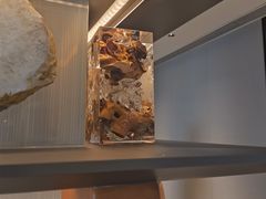 -广州奥园喜来登酒店