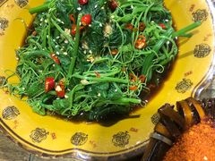 炝拌丝瓜尖-灶东家民间菜(回兴店)