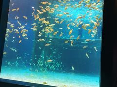 -海合安青岛极地海洋公园