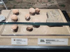 -烟台市博物馆
