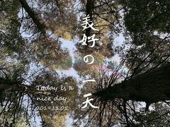 -同里国家湿地公园