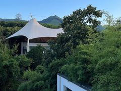 -帐篷客·溪龙茶谷度假酒店