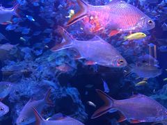 -成都浩海立方海洋公园