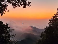 -梧桐山风景名胜区