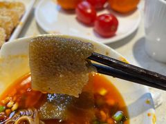 素毛肚-红鼎坊·老成都火锅(新南门店)