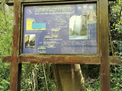 -雁荡山三折瀑景区